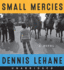 Small Mercies Cd: a Novel