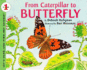 From Caterpillar to Butterfly (Lets Read & Find Out Science Stage 1)
