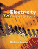 Electricity: Principles and Applications With Simulation Cd-Rom