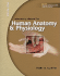 Laboratory Manual for Human Anatomy & Physiology: Main Version W/Phils 3.0 Cd Martin, Terry