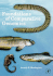 Foundations of Comparative Genomics