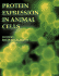 Protein Expression in Animal Cells