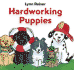 Hardworking Puppies