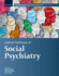 Oxford Textbook of Social Psychiatry (Oxford Textbooks in Psychiatry)