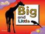 Oxford Reading Tree: Stage 1+: Fireflies: Big and Small