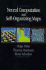 Neural Computation and Self-Organizing Maps: an Introduction