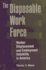 The Disposable Work Force: Worker Displacement and Employment Instability in America (Social Institutions and Social Change)