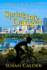 Spring Into Danger (a Paula Savard Mystery)