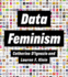 Data Feminism Strong Ideas