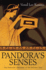 Pandora's Senses: the Feminine Character of the Ancient Text (Wisconsin Studies in Classics)