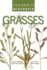 Field Guide to Wisconsin Grasses