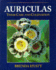 Auriculas: Their Care and Cultivation (Illustrated Monographs)