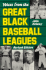 Voices From the Great Black Baseball Leagues