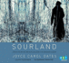 Sourland: Stories