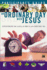 An Ordinary Day With Jesus (Participant's Guide)