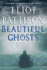 Beautiful Ghosts (Inspector Shan Tao Yun)