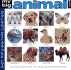 My Big Animal World Book (My Big Reference)