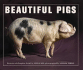 Beautiful Pigs: Potraits of Fine Breeds