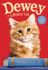 Dewey the Library Cat: a True Story Format: Paperback