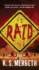 Raid (Wastelanders)