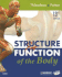 Structure & Function of the Body-Softcover