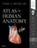 Atlas of Human Anatomy, 7ed