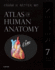 Atlas of Human Anatomy, Professional Edition: Including Netterreference. Com Access With Full Downloadable Image Bank (Netter Basic Science)