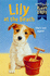 Jenny Dales's Puppy Tales 17: Lily at the Beach (Puppy Tales) (Jenny Dale's Puppy Tales)