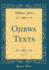 Ojibwa Texts, Vol. 7 (Classic Reprint)