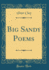 Big Sandy Poems Classic Reprint