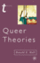 Queer Theories (Transitions, 37)
