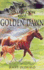 Golden Dawn (Horses of Half Moon Ranch: 12)