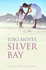 Silver Bay