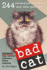 Bad Cat [Paperback]
