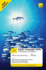 Teach Yourself Basic Computer Skills Windows Xp 2nd Edition (Tyco)