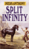 Split Infinity (the Apprentice Adept, Book 1)