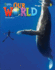 Our World 2 with the Spark platform (AME)