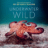 Underwater Wild: My Octopus TeacherS Extraordinary World