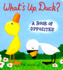 What's Up, Duck? : a Book of Opposites (Duck & Goose)