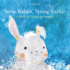Snow Rabbit, Spring Rabbit a Book of Changing Seasons