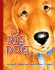 My Big Dog (a Golden Classic)