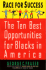 Race for Success: the Ten Best Business Opportunities for Blacks in America