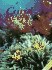 Coral Reefs (Close Up)