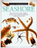 Seashore (Eyewitness Books)