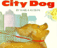 City Dog