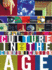 Culture in the Communication Age (Comedia)
