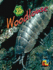 Woodlouse (Bug Books)