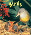 Birds (Animal Young) (Animal Young)