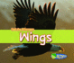Wings. Diyan Leake