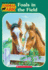 Foals in the Field (Animal Ark Series #24)